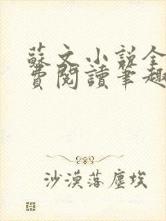 苏文小说全文免费阅读笔趣阁