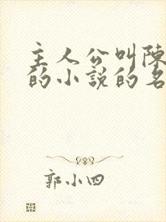 主人公叫陈小凡的小说的名字