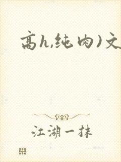 高h,纯肉)文
