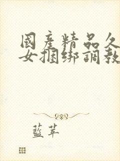 国产精品久久美女捆绑调教网站