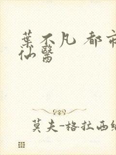 叶不凡 都市古仙医封面