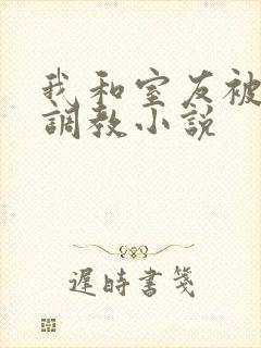 我和室友被轮流调教小说封面