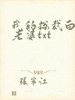 我的总裁白富美老婆txt