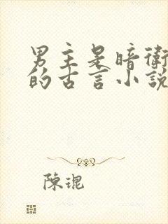 男主是暗卫死士的古言小说