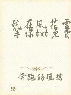 我在风花雪月里等你txt免费下载