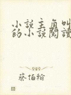 小说主角叫叶玄的小说阅读封面