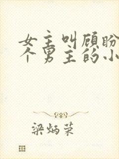 女主叫顾盼有六个男主的小说
