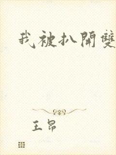 我被扒开双腿封面