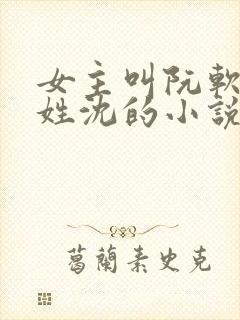 女主叫阮软男主姓沈的小说