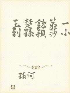 王楚钦第一次得到孙颖莎小说