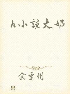 h小说大奶封面