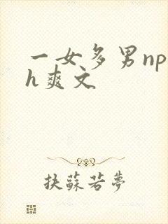 一女多男np巨h爽文