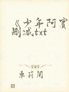 《少年阿宾》无删减txt