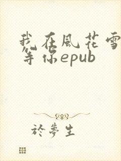 我在风花雪月里等你epub封面