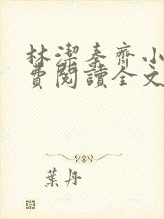 林洁秦齐小说免费阅读全文最新章节