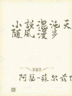 小说混沌天帝诀随风漫步封面