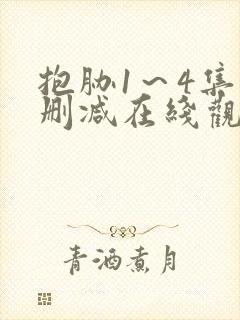 抱胁1～4集无删减在线观看