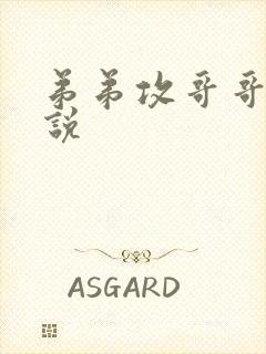 弟弟攻哥哥受小说