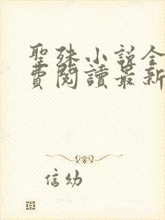 圣殊小说全文免费阅读最新章节封面