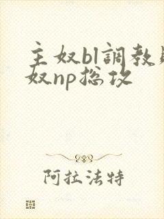 主奴bl调教贱奴np总攻