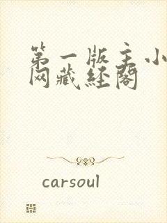 第一版主小说官网藏经阁