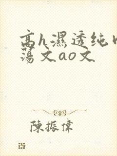 高h湿透纯肉放荡文ao文