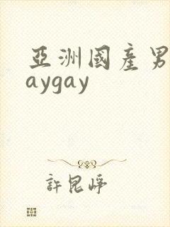 亚洲国产男同gaygay
