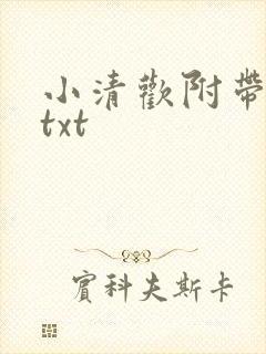 小清欢附带番外txt