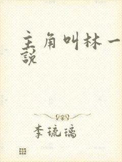 主角叫林一的小说