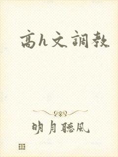 高h文调教