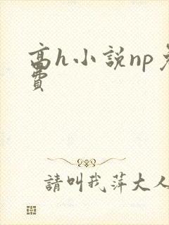 高h小说np免费