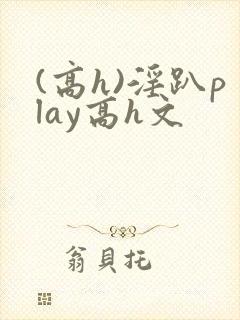 (高h)淫趴play高h文