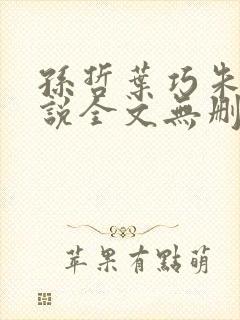 孙哲叶巧朱颜小说全文无删减免费阅读