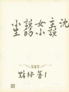 小说女主沈婉重生的小说