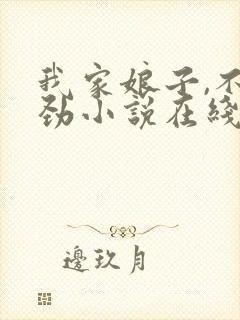 我家娘子,不对劲小说在线免费