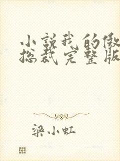 小说我的傲娇女总裁完整版未删减小说封面