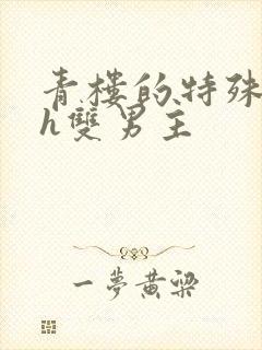 青楼的特殊调教h双男主