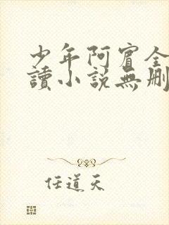 少年阿宾全文阅读小说无删减
