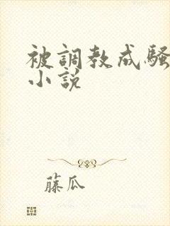 被调教成骚母狗小说