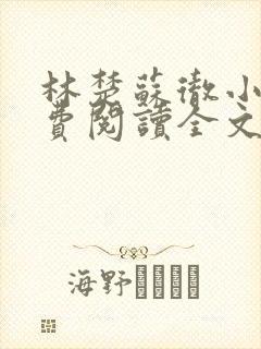 林楚苏彻小说免费阅读全文最新章节封面