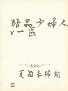 精品少妇人妻av一区