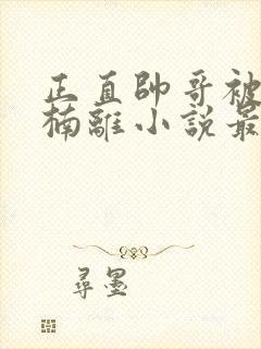 正直帅哥被恶女楠离小说最新章节更