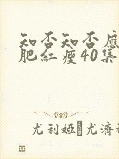 知否知否应是绿肥红瘦40集