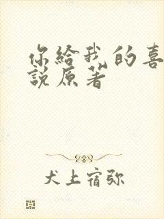 你给我的喜欢小说原著