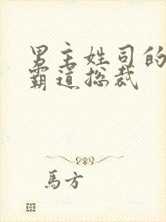 男主姓司的小说霸道总裁