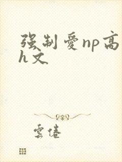 强制爱np高辣h文