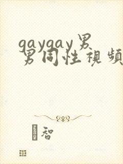 gaygay男男同性视频
