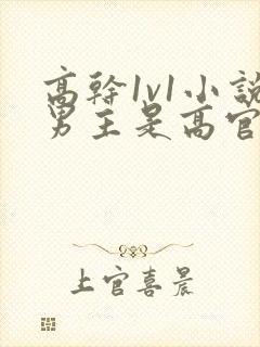 高干1v1小说男主是高官的小说