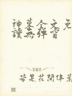 神墓全文免费阅读无弹窗封面