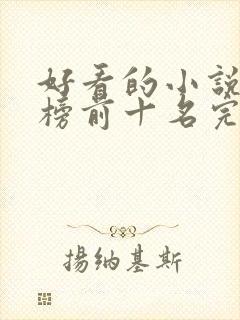 好看的小说排行榜前十名完结